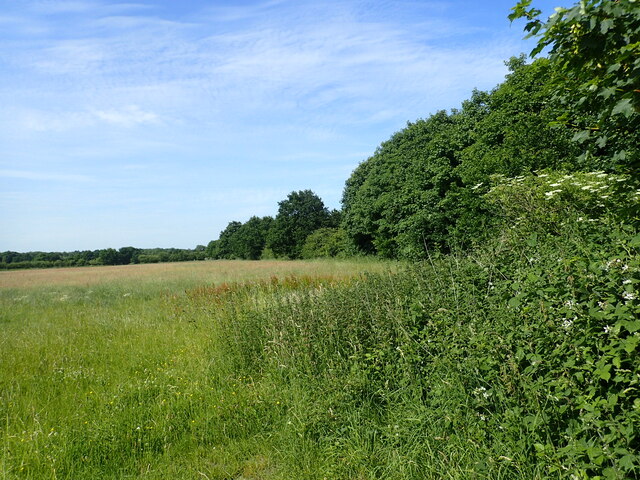 View from Fernhill Road