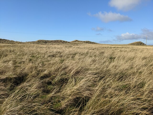 Coarse grassland near Fort Belan