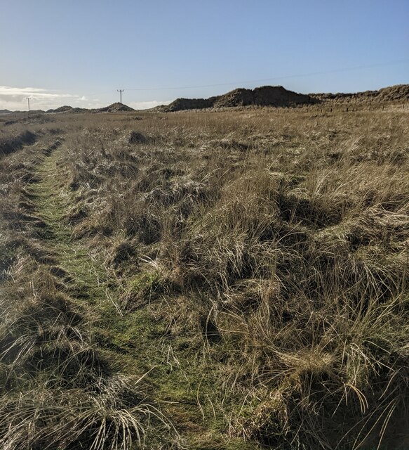 The old track through the grassland