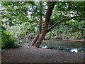 Silk Stream in Rushgrove Park, Colindale 