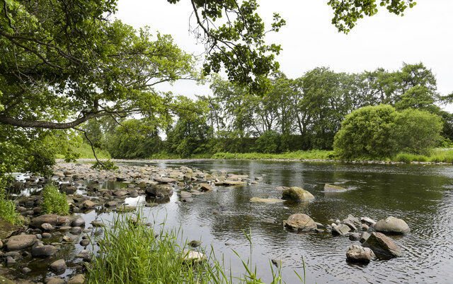 River Tees flowing downstream near Gainford