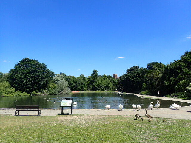 The lake in Verulamium Park