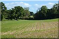 Farmland, Privett