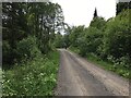 NY6294 : Forestry road near Kielder village by Steven Brown