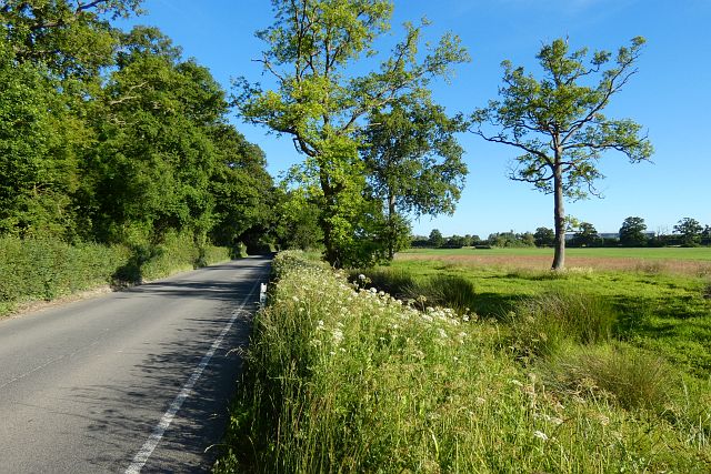 Road and farmland, Burghfield