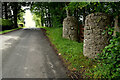 Round stone pillars along Camderry Road