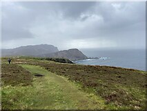 NR2741 : Coastal path Mull of Oa by thejackrustles