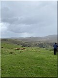 NR2741 : Moorland views Mull of Oa by thejackrustles