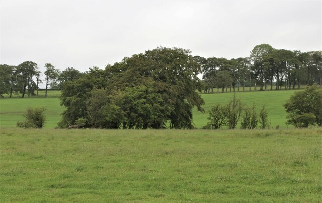 Fields around Mare Burn © Alan Reid :: Geograph Britain and Ireland