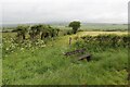 A welcome bench at Hillhead