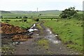 Farm track at Barneight