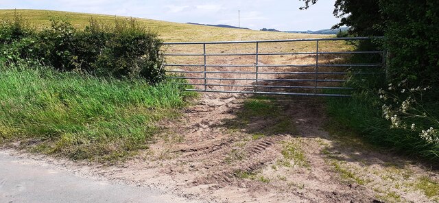 Field gateway from east side of rural road at Langrigg