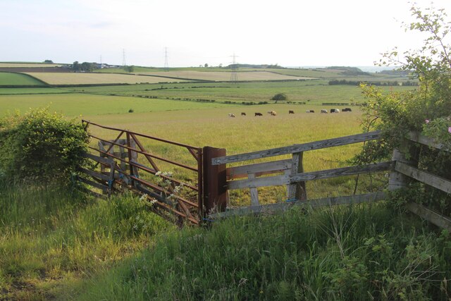 Pastureland at Coldcothill