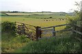 Pastureland at Coldcothill