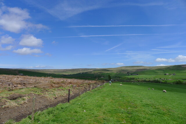 The Weardale Way heading towards the valley of Rook Hope