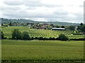 View from Nash Court, Boughton-under-Blean