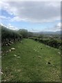 Bridleway near Pen-y-Graig farm