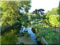 River Great Stour, and Westgate Gardens, Canterbury