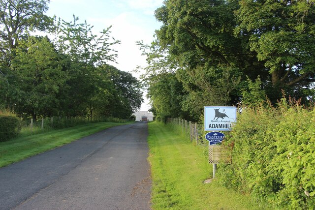 Driveway to Adamhill