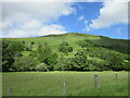 Hillside near Blairish