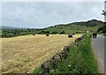 Fields and Grassland near Upper Hulme