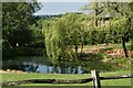 Pond, Ditton Place