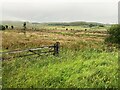 Access Land at Shaw Bottom