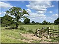 Stile in fence