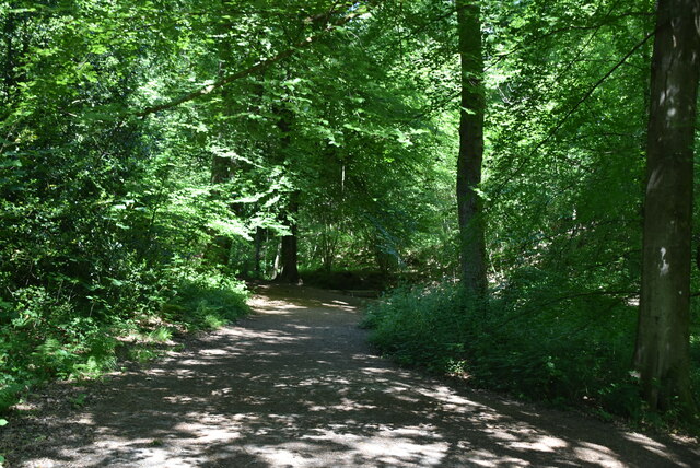 Sussex Ouse Valley Way, Nymans Woodland © N Chadwick cc-by-sa/2.0 ...