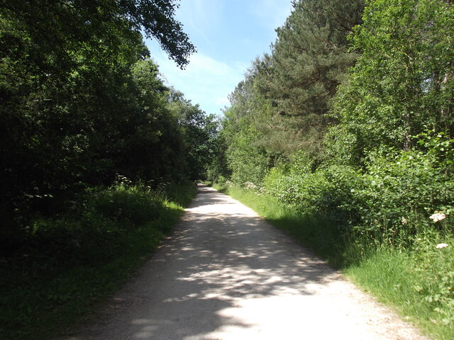 Track to Chapelhill Farm