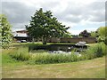 Pond at Hog Hill Holiday Cottages