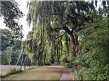 TQ2189 : Rushgrove Park, Colindale by David Howard