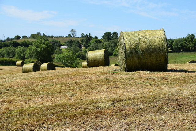 Large round bales, Mullanmore
