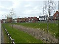 Marshy ground in housing estate, Prince William Drive, Derby