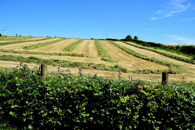 Cut grass field, Copney