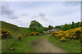 The Weardale Way approaching Mill Cottage by the Bollihope Burn