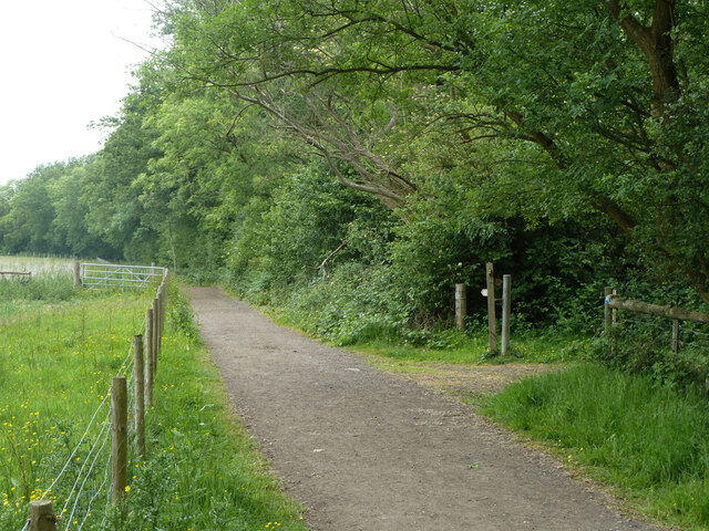 Bridleway junction by Willow Bed (wood)