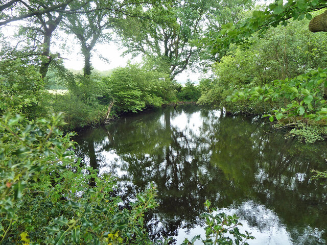 Pond by bridleway SR520 Edenbridge