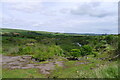 Harehope Quarry