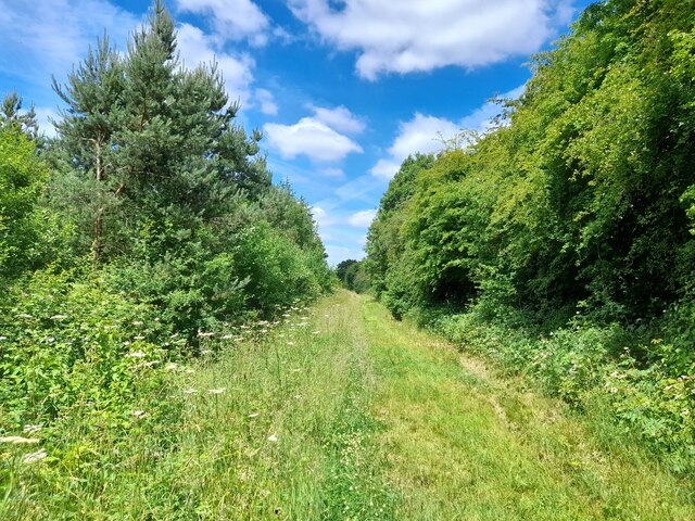 Footpath by the railway in Breach Wood