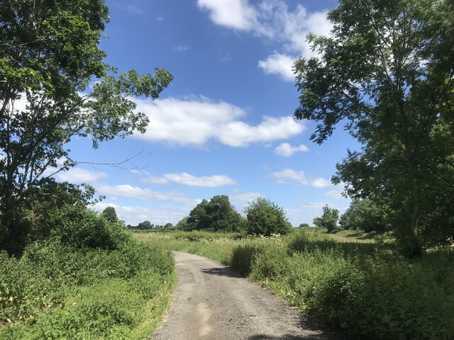 Track near Clarke's Farm