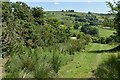 Bridleway from Sheen to Hartington