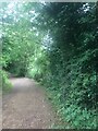 Path in Bedford Lakes Country Park