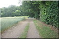 Path leading to Churchfield Lane