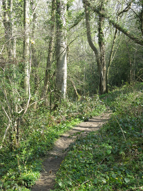 Footpath in the wooded cleugh of Wydon Burn