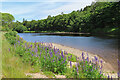 River Spey