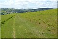 SO2455 : Offa's Dyke Path on Hergest Ridge by Philip Halling