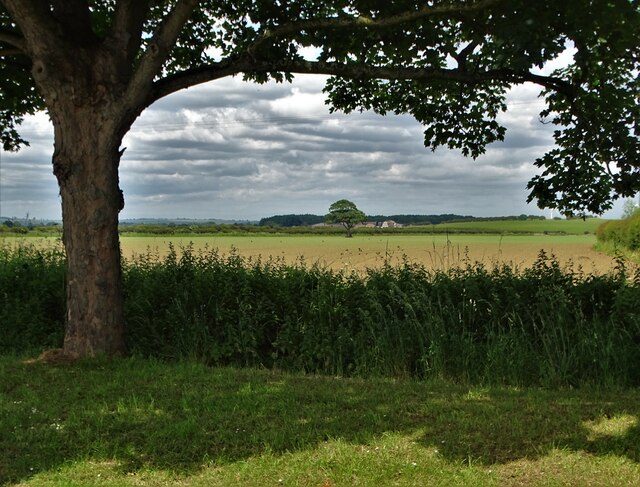 Agricultural landscape north of Barmston