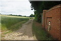 Path leading to Tewin Mill House