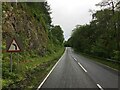 NN1226 : A819 near Loch Awe by Steven Brown